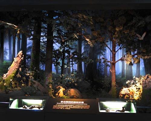 展厅平面规划与展示效果的关系